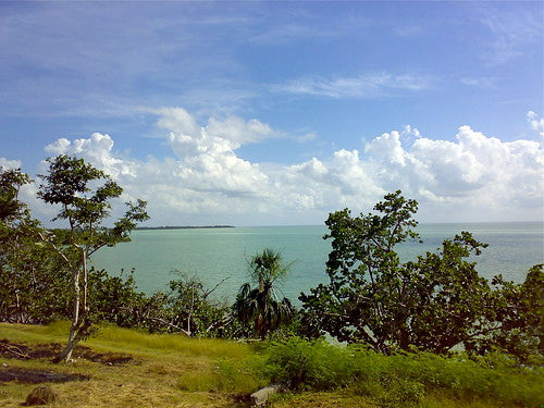 The Coffee Paddler’s Quest: A Mexican Adventure